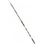 FISHING FERRARI BEACH QUEEN 100GR 4.20MT