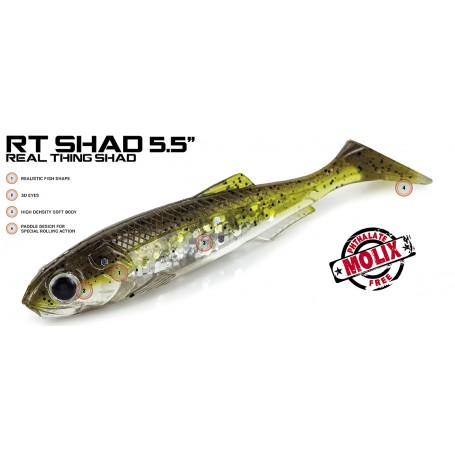 MOLIX RT SHAD 5'5''