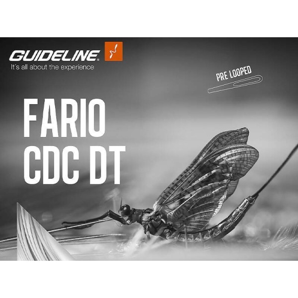 GUIDELINE CODA DI TOPO GALLEGGIANTE FARIO CDC - DT2