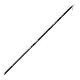 FALCON CONTESSA SLIM MEDIUM BOLOGNESE 7MT