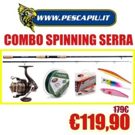 COMBO SPINNING SERRA CANNA NOMURA AKIRA HOSHOKU