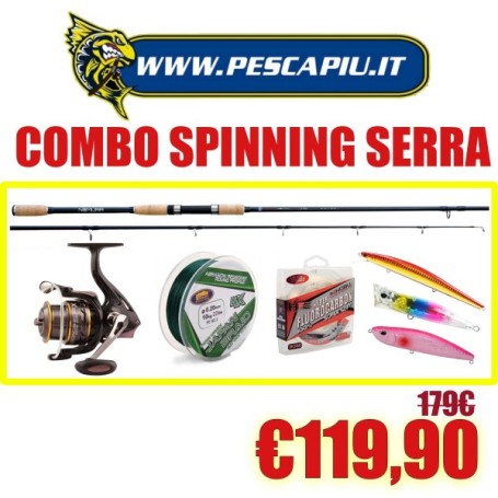 COMBO SPINNING SERRA CANNA NOMURA AKIRA HOSHOKU