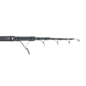 CANNA FLY INCREDIBILE STRONG 4.20MT 250GR FUJI 2