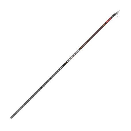 FALCON VENERE NERA 7MT BOLOGNESE