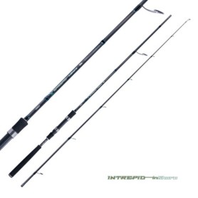 JATSUI INTREPID INSHORE CANNA 8' - 60-100GR