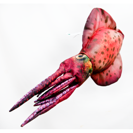 GABY CUSCINO PILLOW CALAMARO THE SQUID