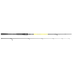SEIKA INTENSE AR 2.70MT - 15-45GR - CANNA SPINNING 2