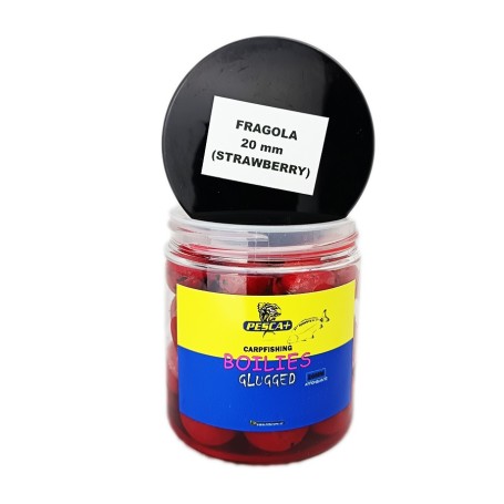 PESCA+ BOILIES GLUGGED - 20mm PREAMMOLLATE