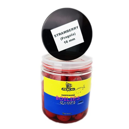 PESCA+ BOILIES GLUGGED - 16mm PREAMMOLLATE