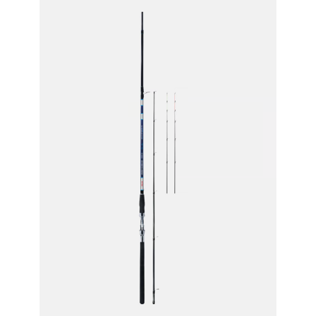 FALCON ORATA 3.30MT - CANNE BOLENTINO