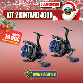 KIT 2 KINTARO 4000 - NOMURA - 10 CUSCINETTI