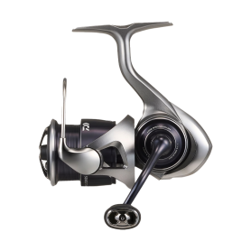 DAIWA MULINELLO 25 CALDIA LT 4000C