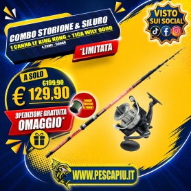 COMBO SILURO & STORIONE LINEAEFFE KING KONG 4.20MT 500GR - TICA WILY 9000