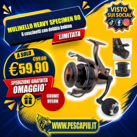 MULINELLO LINEAEFFE TS HEAVY SPECIMEN