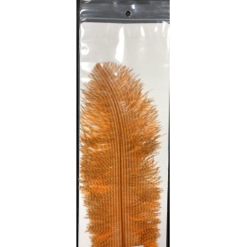 OSTRICH PLUMES BARRED 2