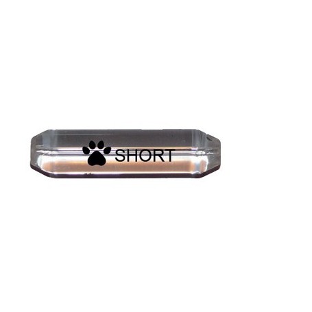 ZENI VETRINO SHORT