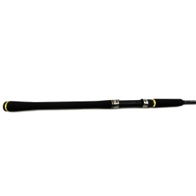 JATSUI CANNA SPINNING ABSTRACT 8'2'' 80-120GR 2
